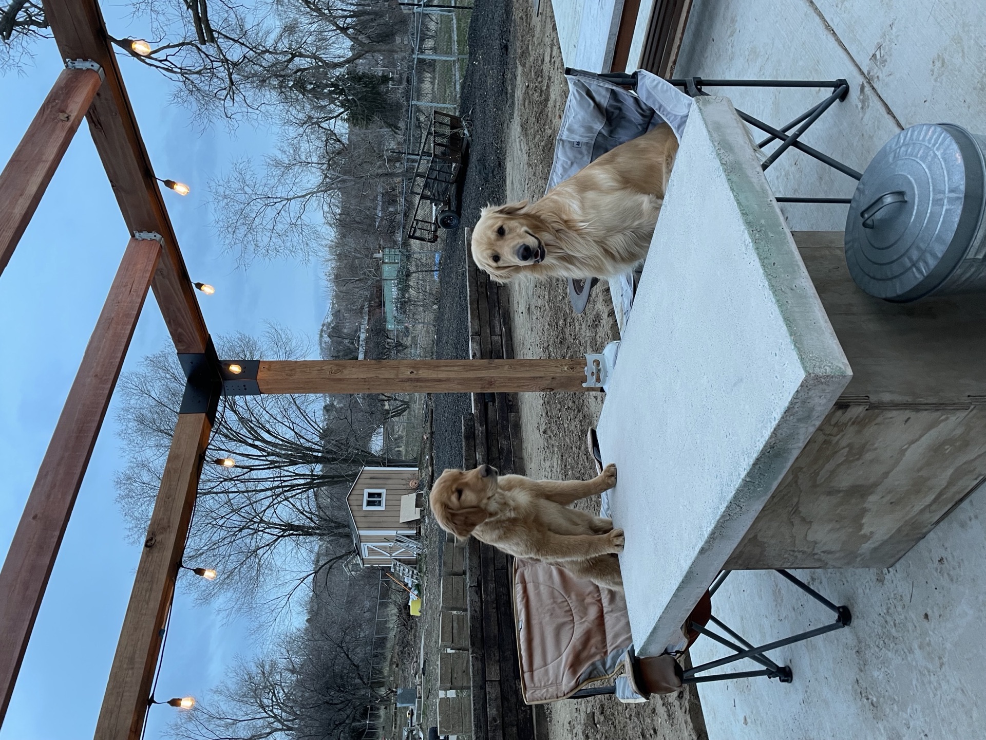 Pergolas, Deck Repairs & Outdoor Structures: Built to Stand Up to NoVA Weather