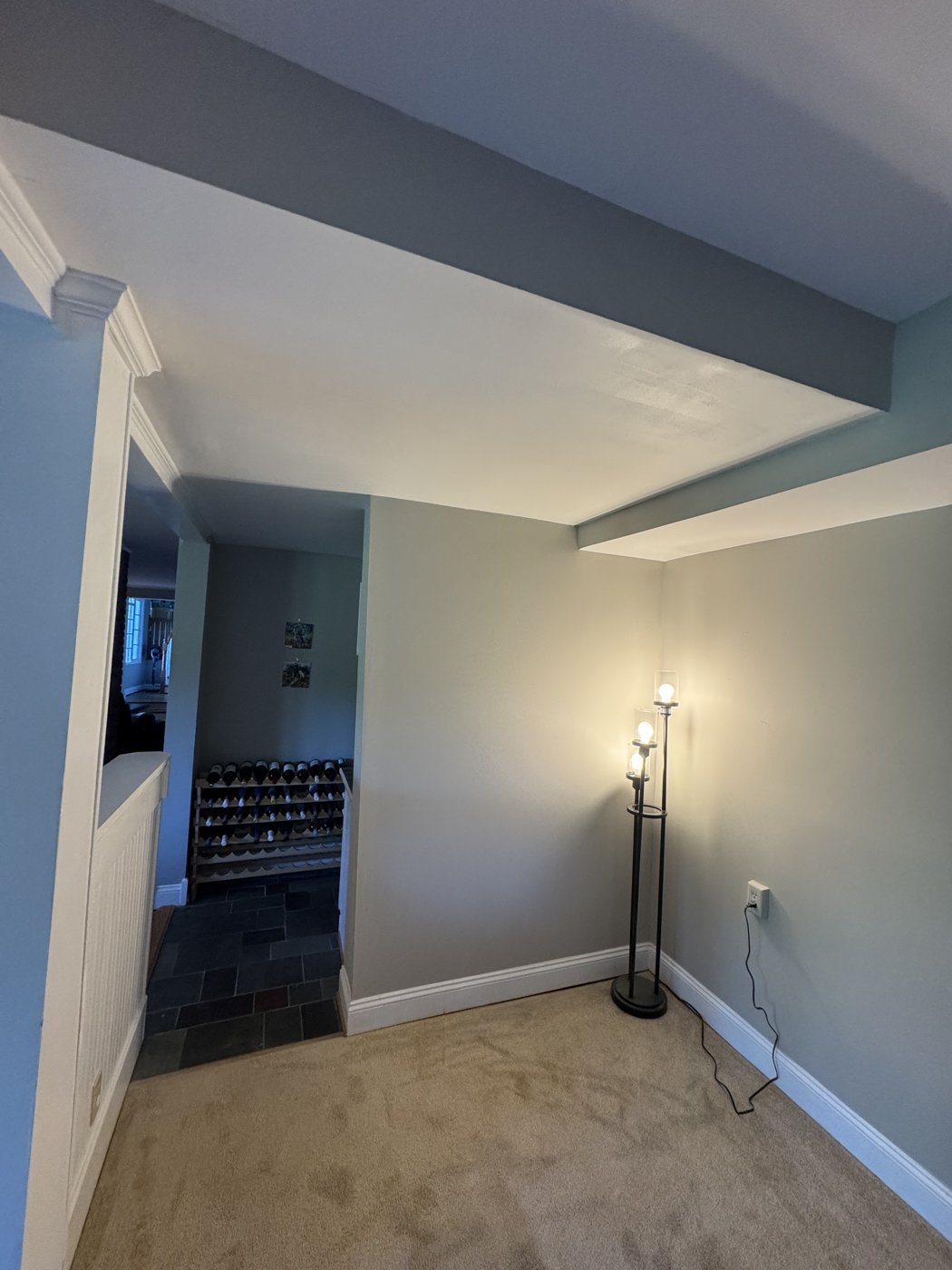 Ceiling Repair
