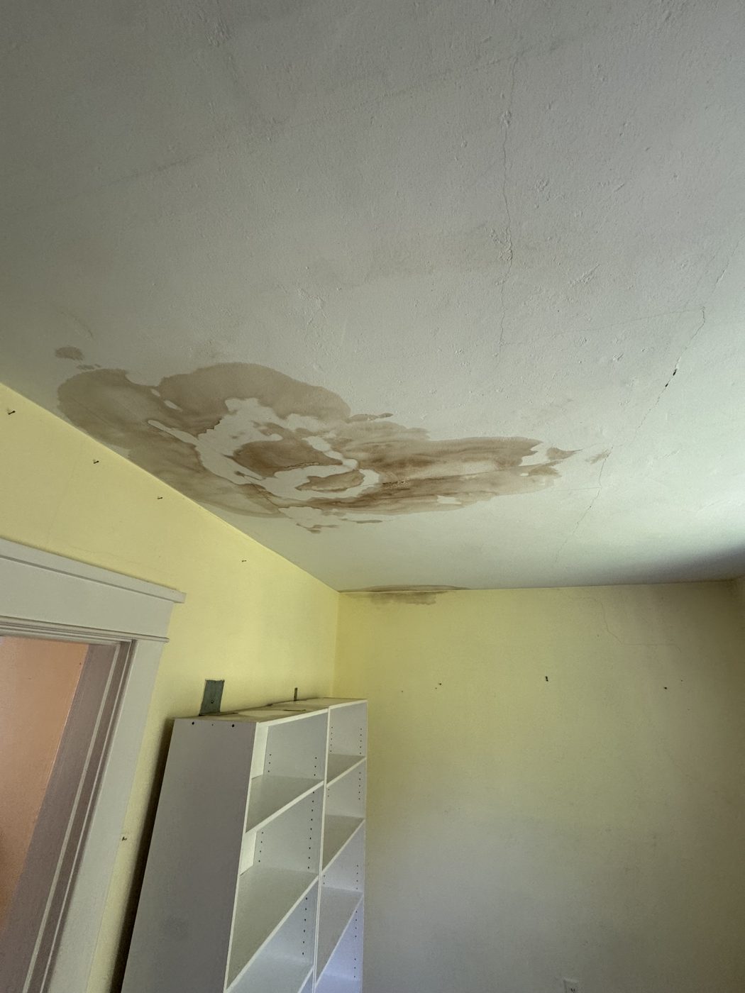 Drywall & water damage